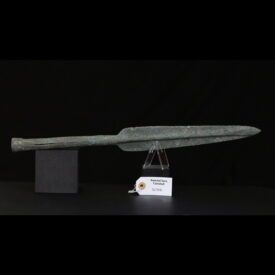 Giant bronze pike head