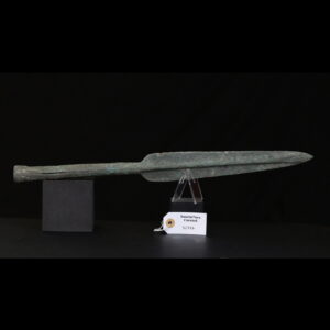 Giant bronze pike head