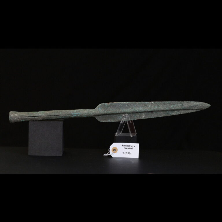 Giant bronze pike head