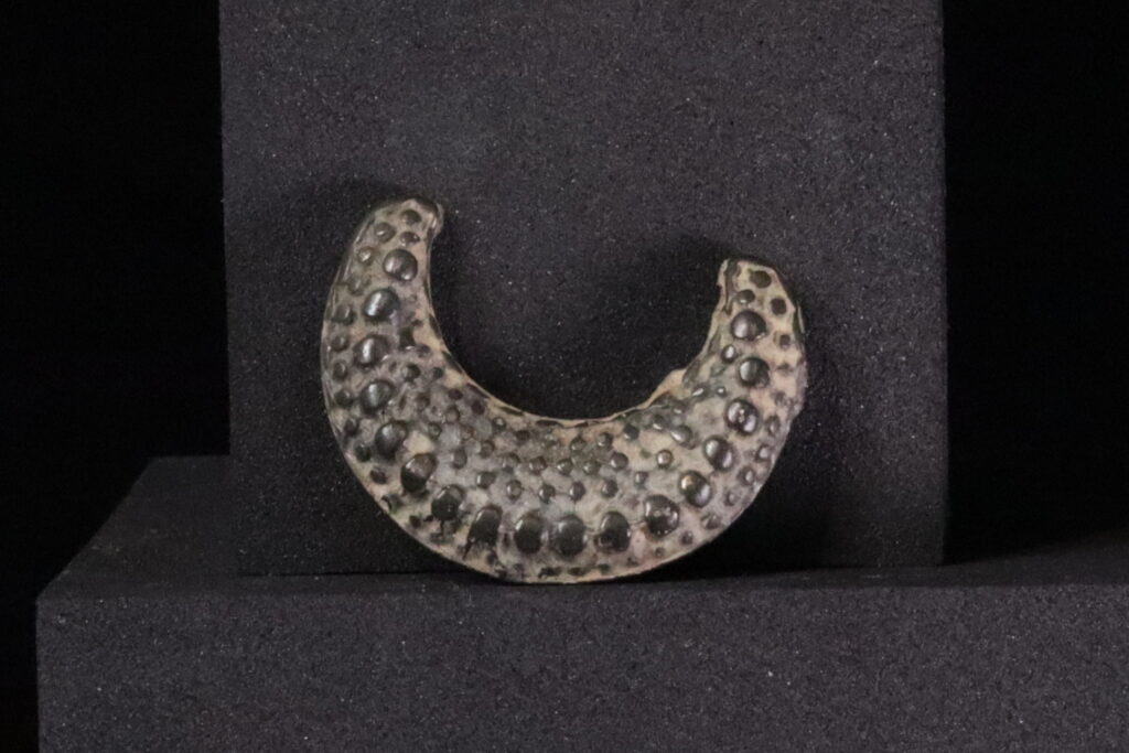 Bronze lunula